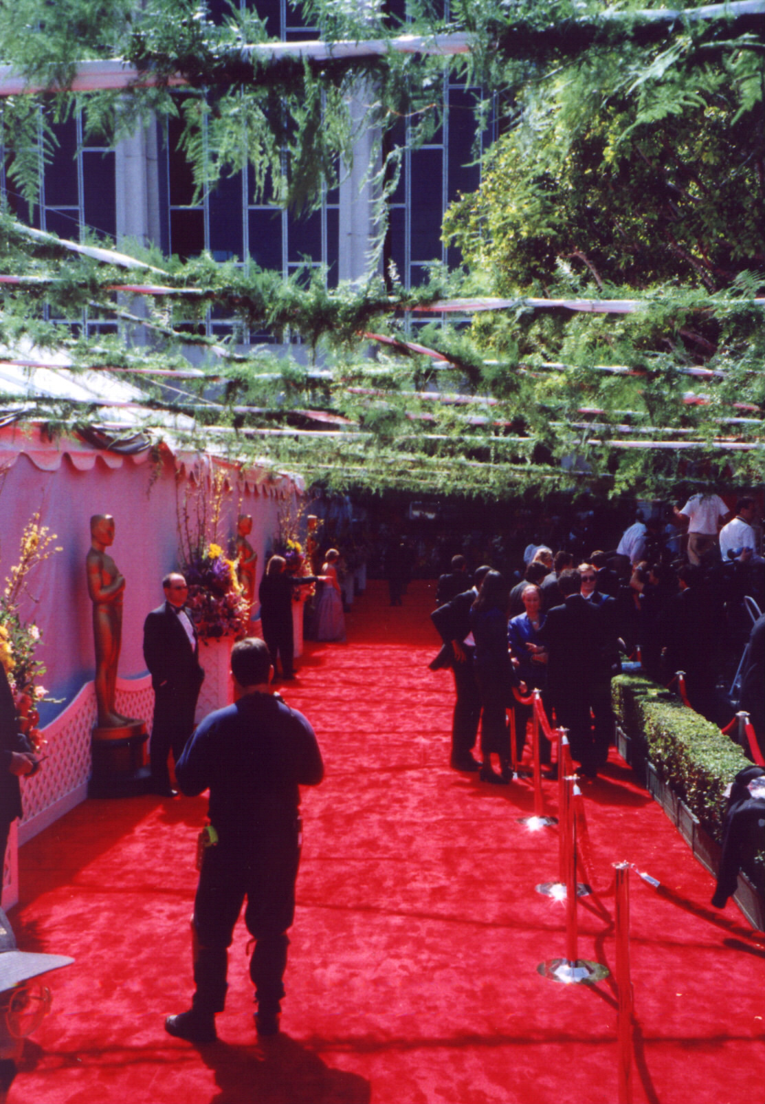 carpet.JPG (663718 bytes)